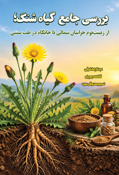 بررسی جامع گیاه شنگ؛ از زیست‌بوم خراسان شمالی تا جایگاه در طب سنتی